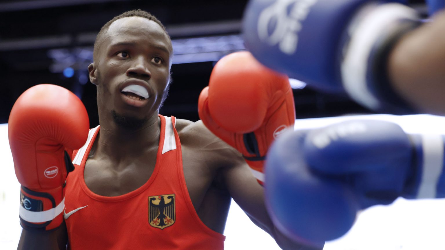 Cologne Boxing Cup 13 DBVBoxerinnen und Boxer heute im Halbfinale Deutscher Boxsport