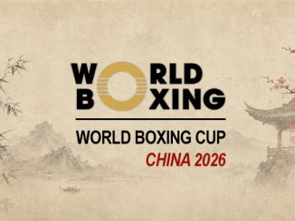 Symbildbild für den World Boxing Cup in China