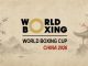 Symbildbild für den World Boxing Cup in China